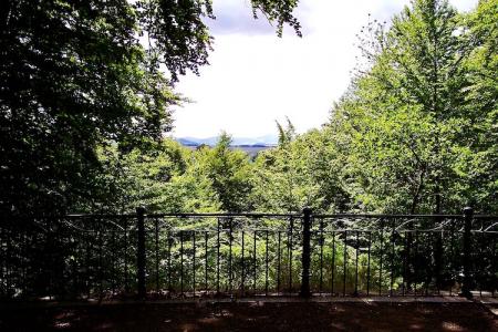 View of the Lobauer Gebirge from the Lindenwald