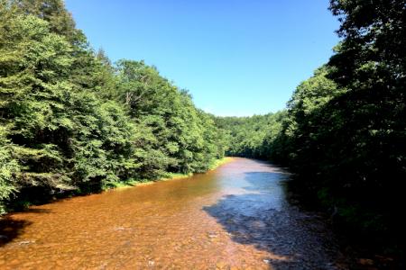 1The Moshannon Creek at Peale